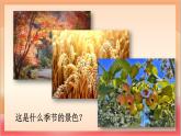 統(tǒng)編版（2024）語文一上 1《秋天》課件+教案（含教學(xué)反思）+音視頻素材