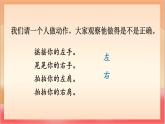 統(tǒng)編版（2024）語文一上 6《影子》課件+教案（含教學反思）+音視頻素材