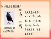 統(tǒng)編版（2024）語文一上 9《烏鴉喝水》課件+教案（含教學反思）+音視頻素材