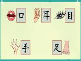 小學(xué)  語文  統(tǒng)編版（2024）  一年級上冊3 口耳目手足 課件