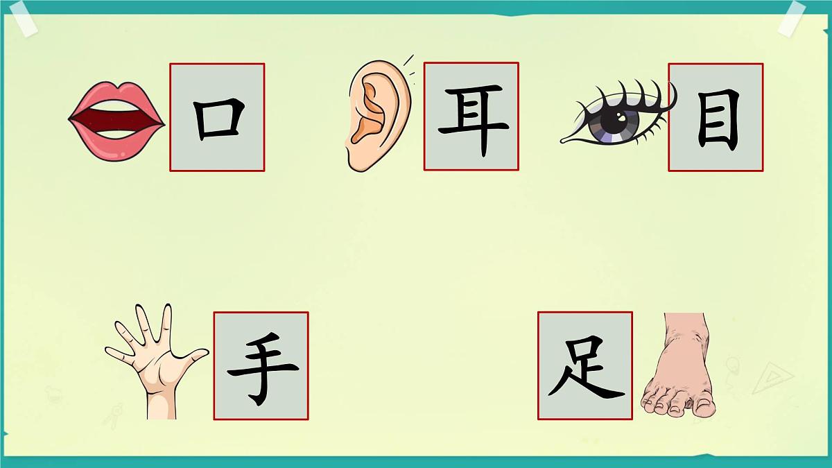 小学  语文  统编版（2024）  一年级上册3 口耳目手足 课件第2页