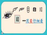 小學(xué)  語文  統(tǒng)編版（2024）  一年級上冊3 口耳目手足 課件