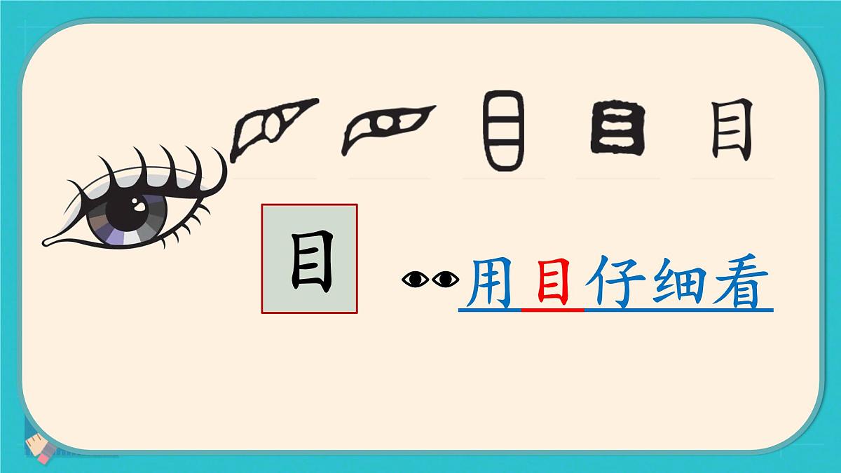 小学  语文  统编版（2024）  一年级上册3 口耳目手足 课件第5页
