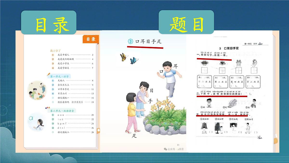小学  语文  统编版（2024）  一年级上册3 口耳目手足 课件第6页