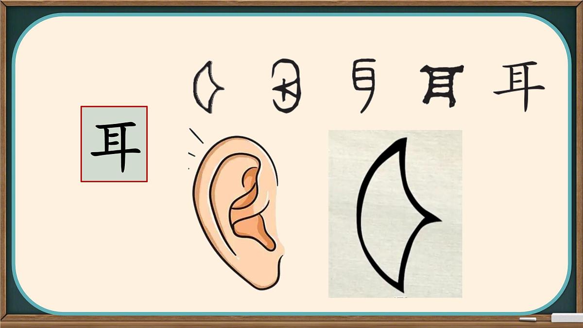 小学  语文  统编版（2024）  一年级上册3 口耳目手足 课件第7页
