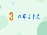小學  語文  統(tǒng)編版（2024）  一年級上冊3 口耳目手足 課件