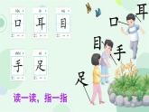 小學  語文  統(tǒng)編版（2024）  一年級上冊3 口耳目手足 課件