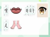 小學  語文  統(tǒng)編版（2024）  一年級上冊3 口耳目手足 課件