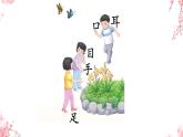 小學(xué)  語文  統(tǒng)編版（2024）  一年級上冊3 口耳目手足 課件