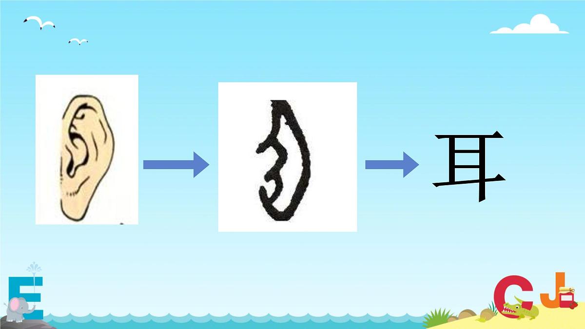 小学  语文  统编版（2024）  一年级上册3 口耳目手足 课件第4页