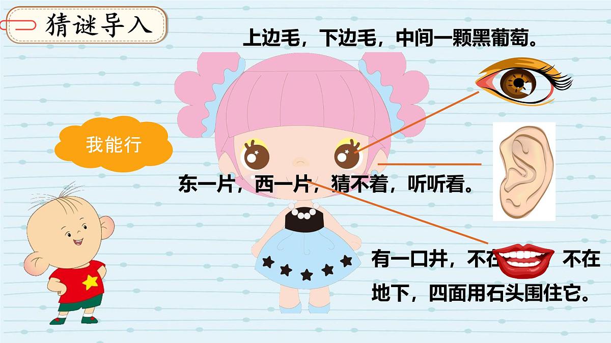 小学  语文  统编版（2024）  一年级上册3 口耳目手足 课件第2页
