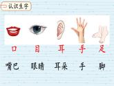 小學(xué)  語文  統(tǒng)編版（2024）  一年級上冊3 口耳目手足 課件