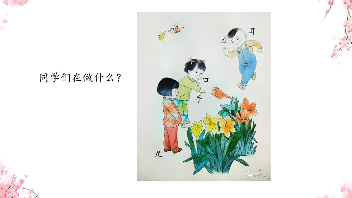 小学  语文  统编版（2024）  一年级上册3 口耳目手足 课件第2页