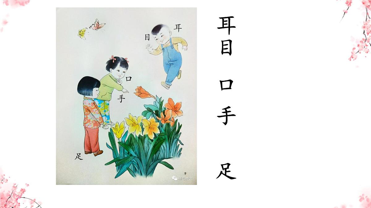 小学  语文  统编版（2024）  一年级上册3 口耳目手足 课件第3页