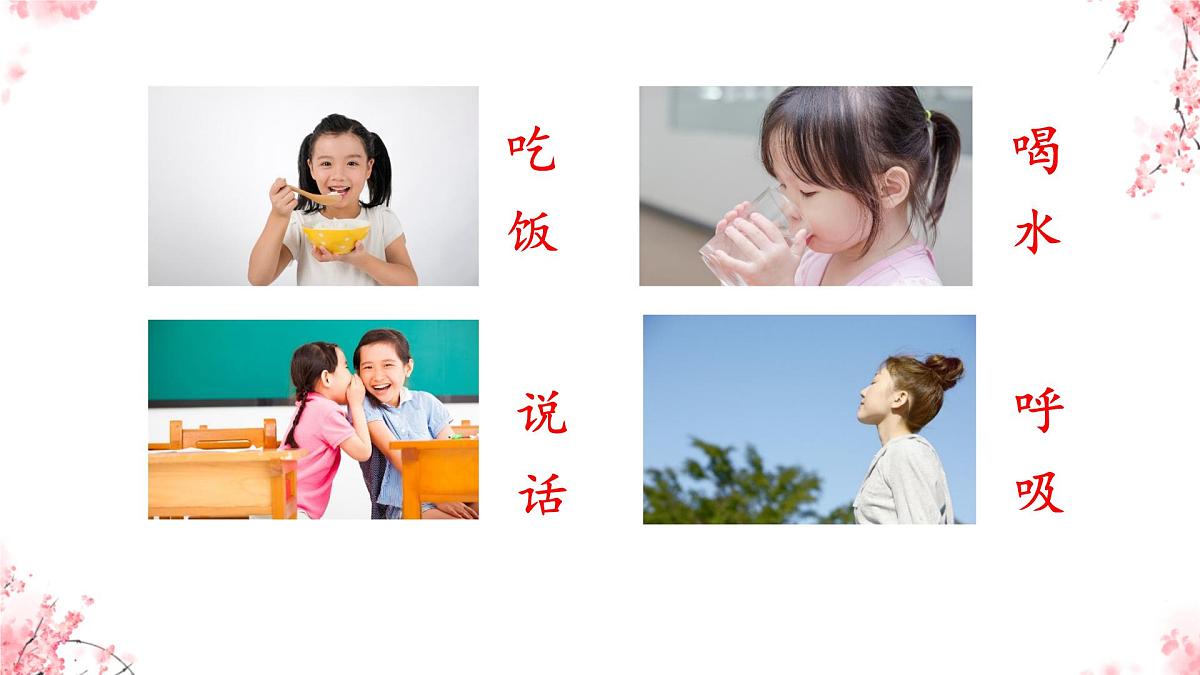 小学  语文  统编版（2024）  一年级上册3 口耳目手足 课件第5页