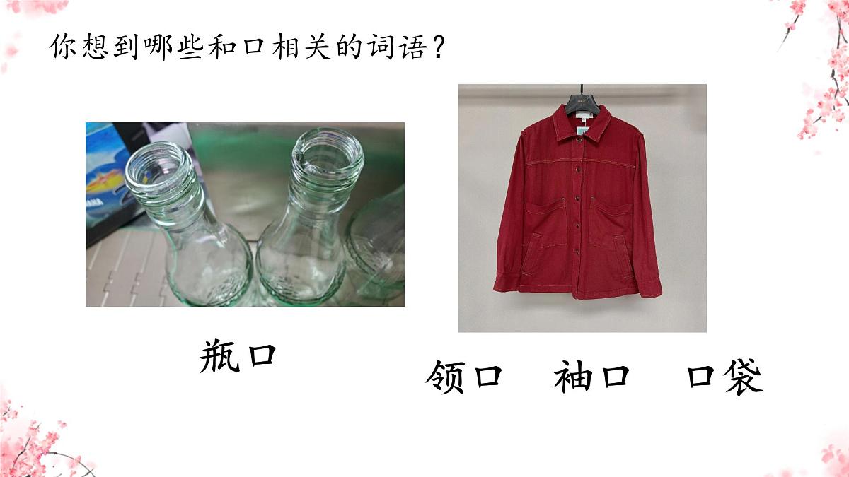 小学  语文  统编版（2024）  一年级上册3 口耳目手足 课件第6页