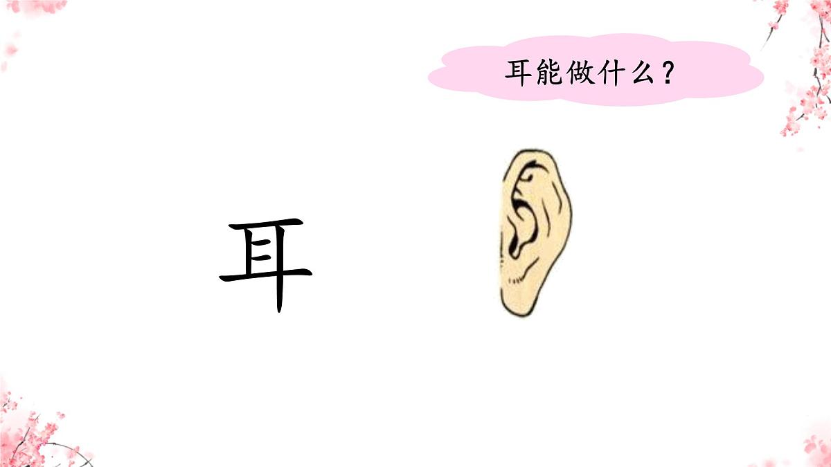 小学  语文  统编版（2024）  一年级上册3 口耳目手足 课件第7页