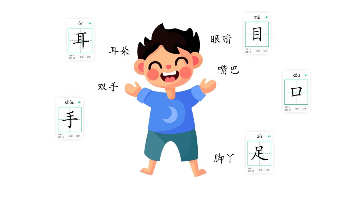 小学  语文  统编版（2024）  一年级上册3 口耳目手足 课件第2页