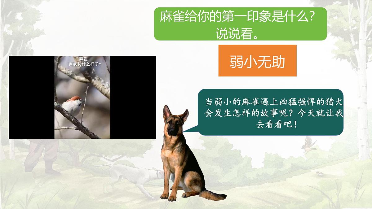 统编版语文四年级上册课件《16 麻雀》第2页