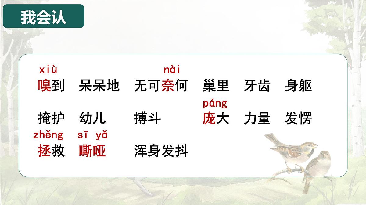 统编版语文四年级上册课件《16 麻雀》第5页