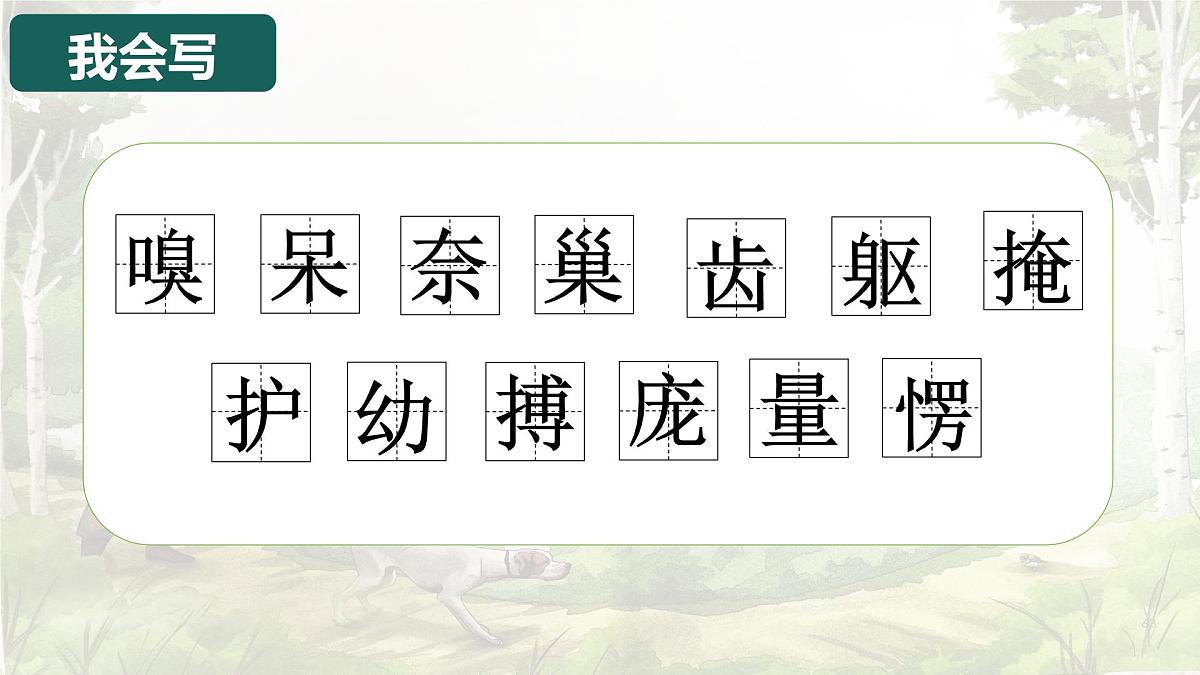 统编版语文四年级上册课件《16 麻雀》第8页