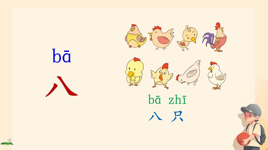小学  语文  统编版（2024）  一年级上册（2024）  第一单元 识字语文园地一 课件第5页
