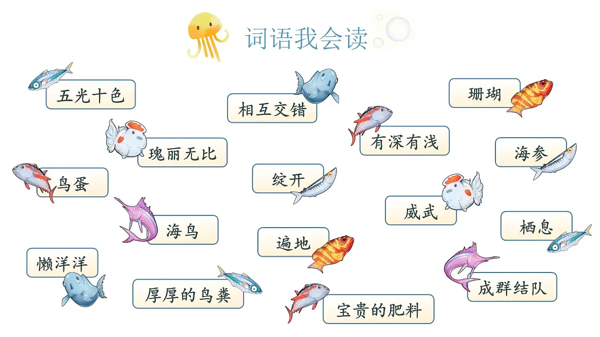 小学语文新部编版三年级上册6.16《富饶的西沙群岛》教学课件（2025秋）第4页