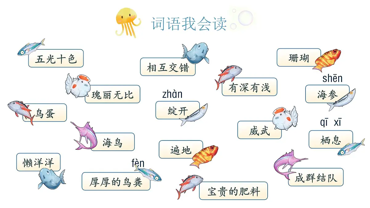 小学语文新部编版三年级上册6.16《富饶的西沙群岛》教学课件（2025秋）第5页