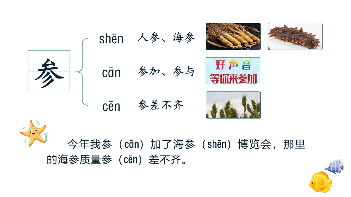 小学语文新部编版三年级上册6.16《富饶的西沙群岛》教学课件（2025秋）第6页