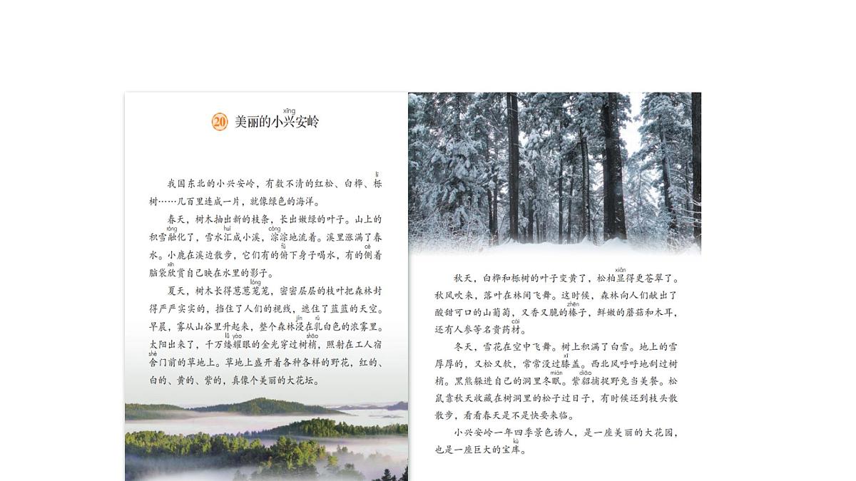小学语文新部编版三年级上册6.18《美丽的小兴安岭》教学课件（2025秋）第3页