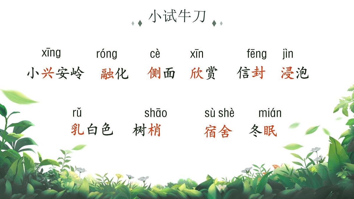 小学语文新部编版三年级上册6.18《美丽的小兴安岭》教学课件（2025秋）第4页