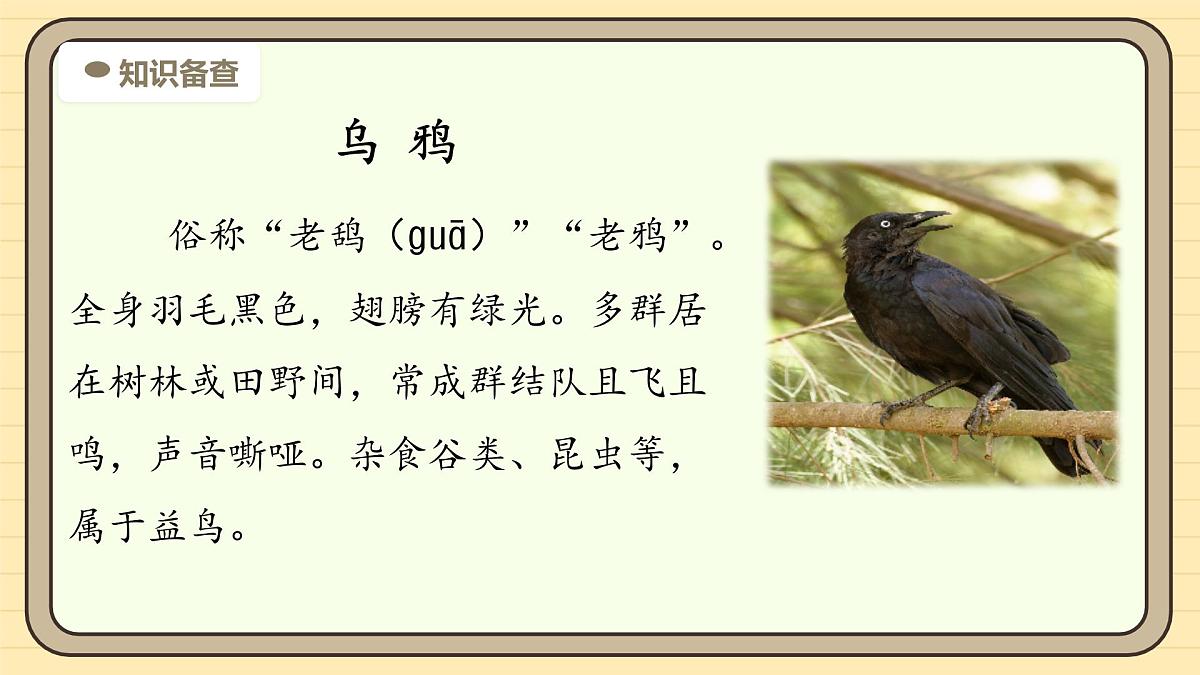 9 乌鸦喝水（第一课时）第5页