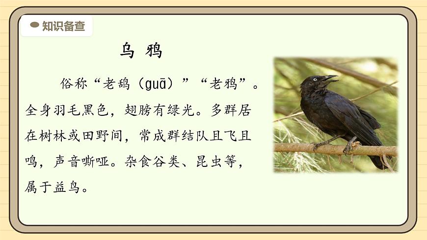 9 乌鸦喝水（第一课时）第5页