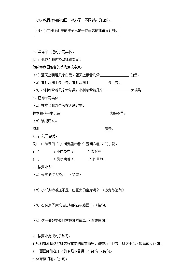 2025六年级小升初语文专项训练（基础知识二）-4.扩句、缩句（24P 详细解析）第2页