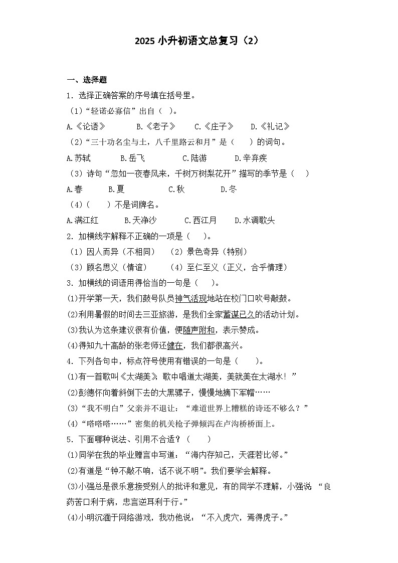 2025六年级小升初语文专项训练-总复习2（26P 详细解析）第1页