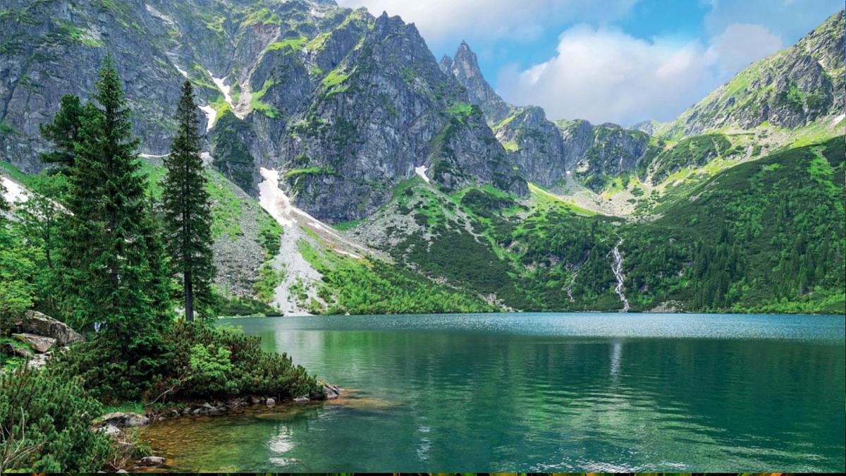 统编版语文三年级上册课件《第一单元口语交际：我的暑假生活》第3页