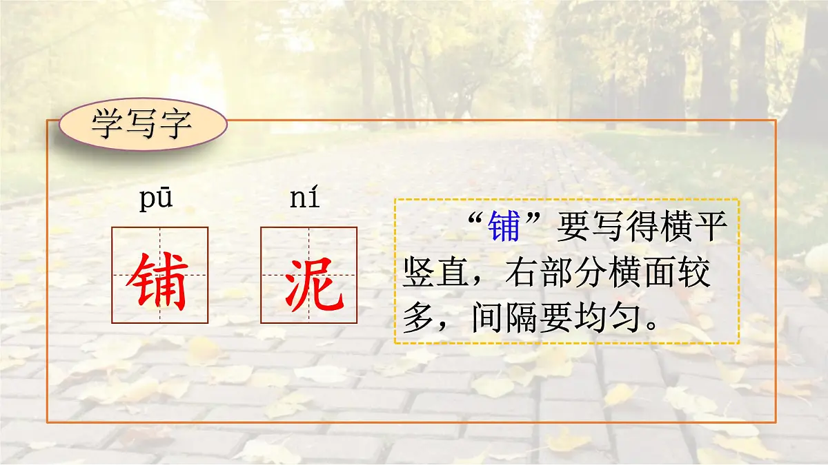 统编版语文三年级上册课件《5 铺满金色巴掌的水泥道》第3页