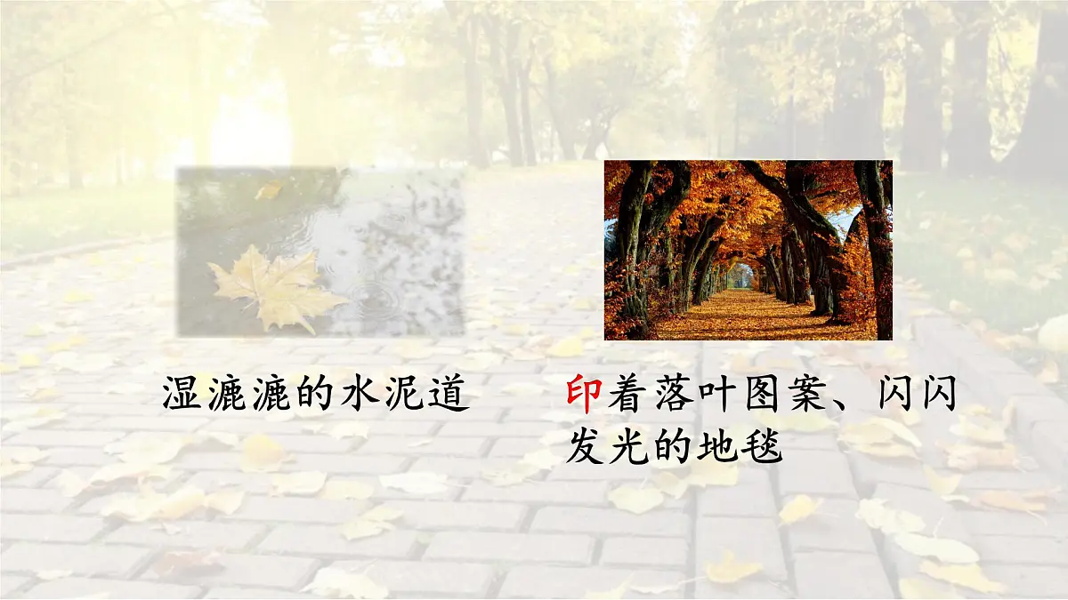 统编版语文三年级上册课件《5 铺满金色巴掌的水泥道》第8页