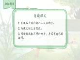 统编版语文三年级上册课件《1 大青树下的小学》