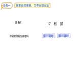 统编版语文五年级上册17.松鼠  （课件）