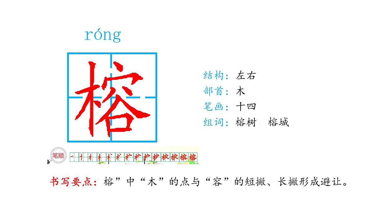 统编版语文五年级上册22 鸟的天堂 （课件）第8页
