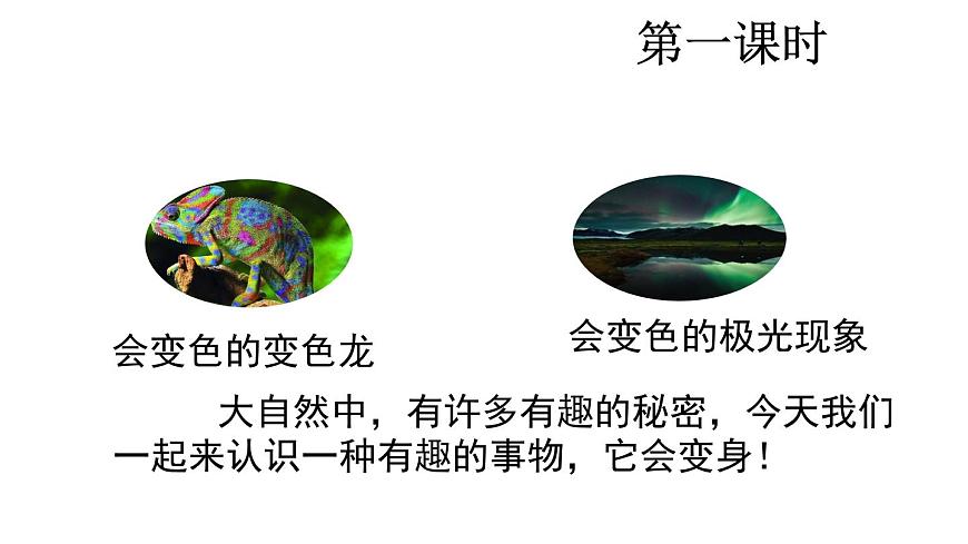 统编版语文二年级上册2 我是什么 课件第2页