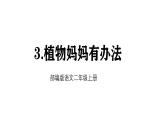 統(tǒng)編版語文二年級上冊3 植物媽媽有辦法 課件