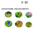 統(tǒng)編版語文二年級上冊3 植物媽媽有辦法 課件