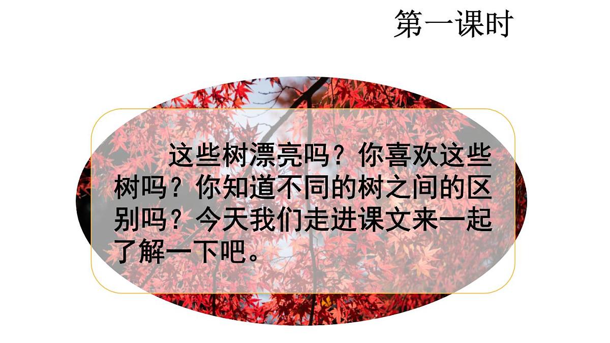 统编版语文二年级上册识字2 树之歌 课件第2页