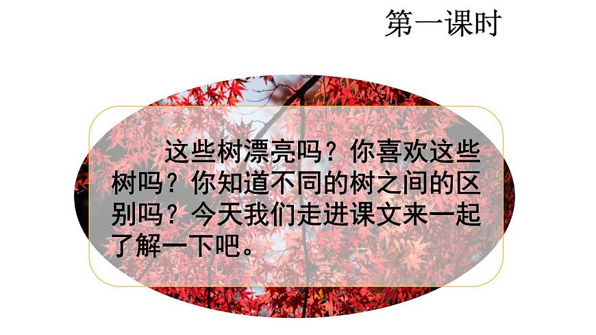 统编版语文二年级上册识字2 树之歌 课件第2页