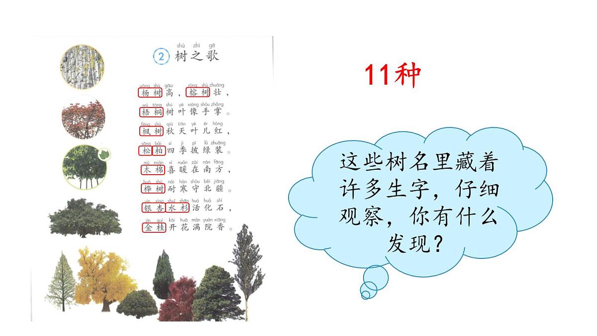 统编版语文二年级上册识字2 树之歌 课件第4页