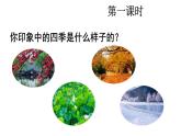 統(tǒng)編版語文二年級(jí)上冊(cè)識(shí)字4 田家四季歌 課件