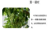 統(tǒng)編版語文二年級上冊10  葡萄溝 課件