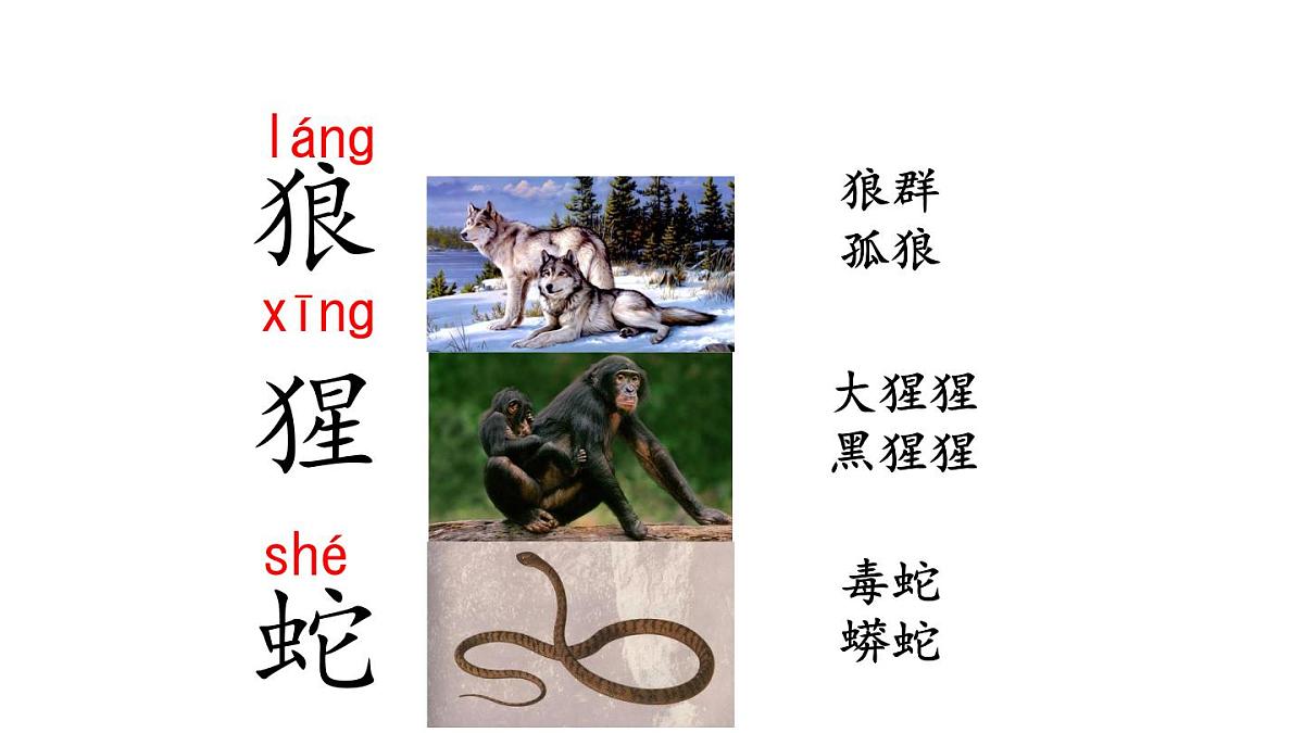 统编版语文二年级上册语文园地八  课件第3页